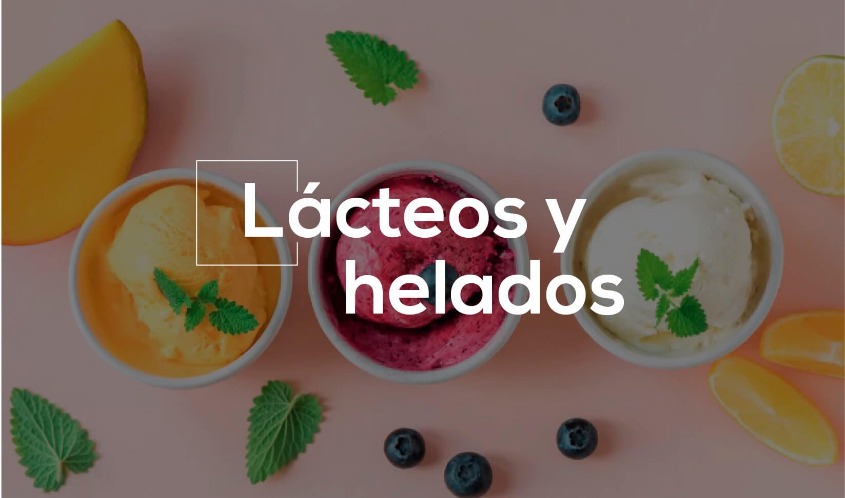 Lacteos y helados 03 1